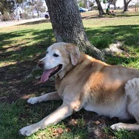 Morley Field Dog Park photo 2